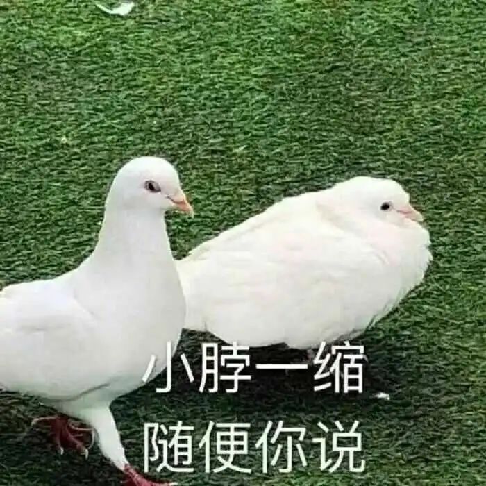 王者最開始叫什么名字_王者開始名字叫什么好聽_我王者名字是什么